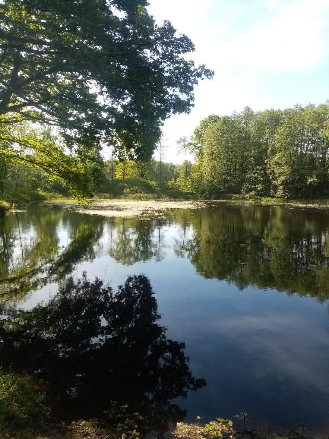 Apartmany Kohoutek A Slepicka V Novohradskych Horach Нове-Гради Экстерьер фото